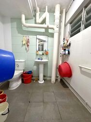 Blk 241 Hougang Heights (Hougang), HDB 3 Rooms #528068921